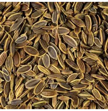  Natural Dill Seeds